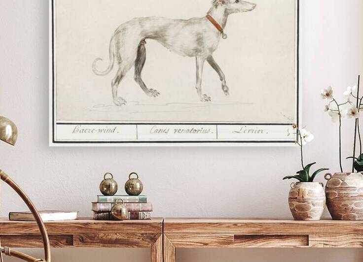 Greyhound in vintage style by IStockHistory com