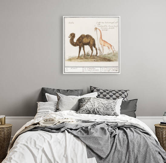 Anemone flower in vintage style by IStockHistory com