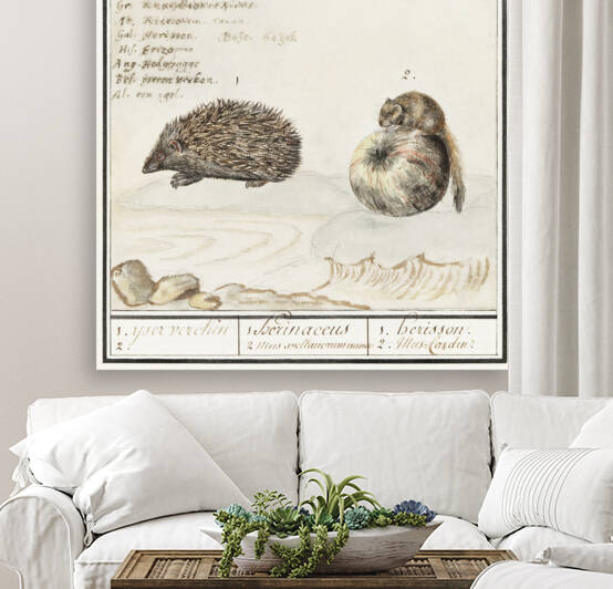 Hedgehog and a dormouse in vintage style by IStockHistory com