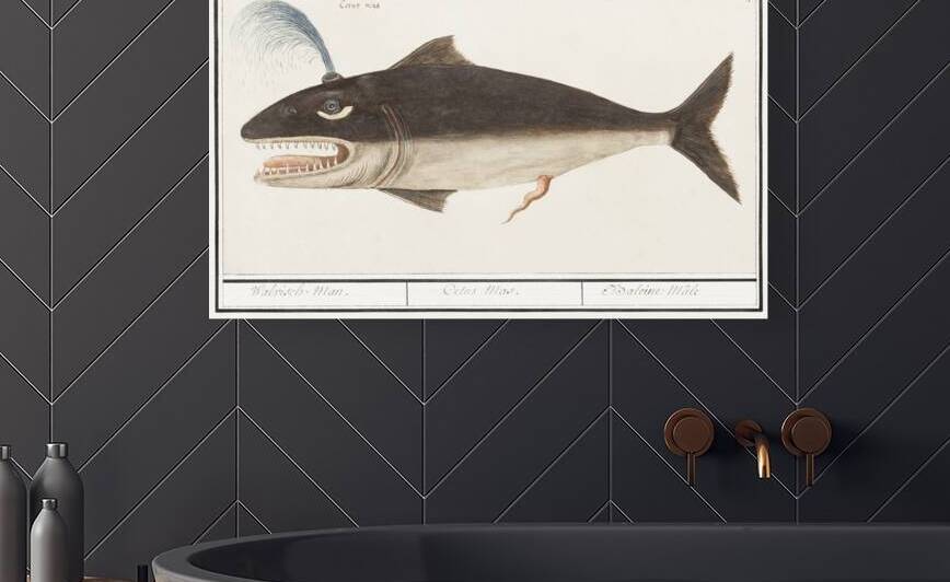 Whale in vintage style by IStockHistory com