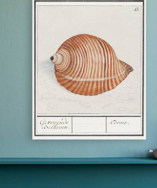 Sea shell in vintage style by IStockHistory com