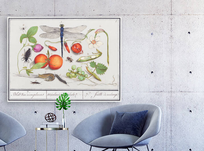 Nature ensemble in vintage style by IStockHistory com