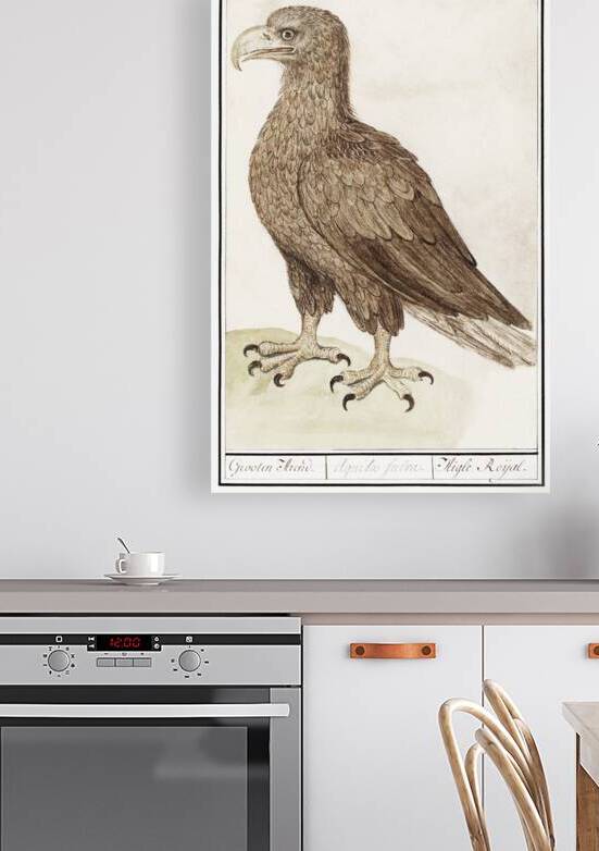 White-tailed eagle in vintage style by IStockHistory com