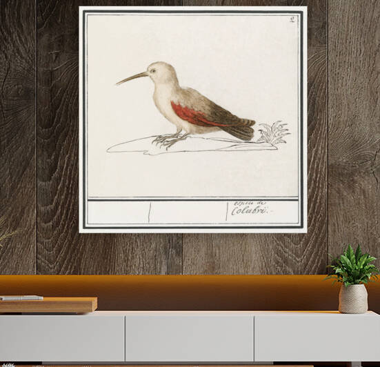 Wallcreeper in vintage style by IStockHistory com