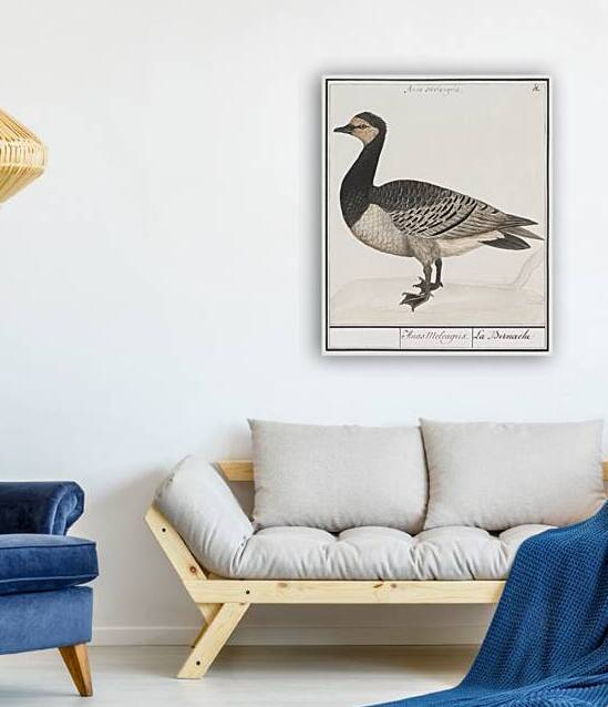Domestic goose in vintage style by IStockHistory com
