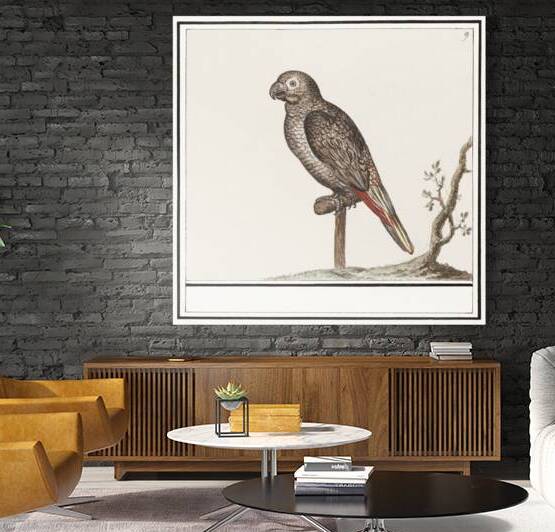 Parrot in vintage style by IStockHistory com