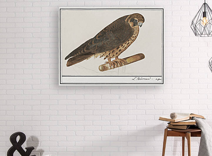 Tritons trumpet in vintage style by IStockHistory com