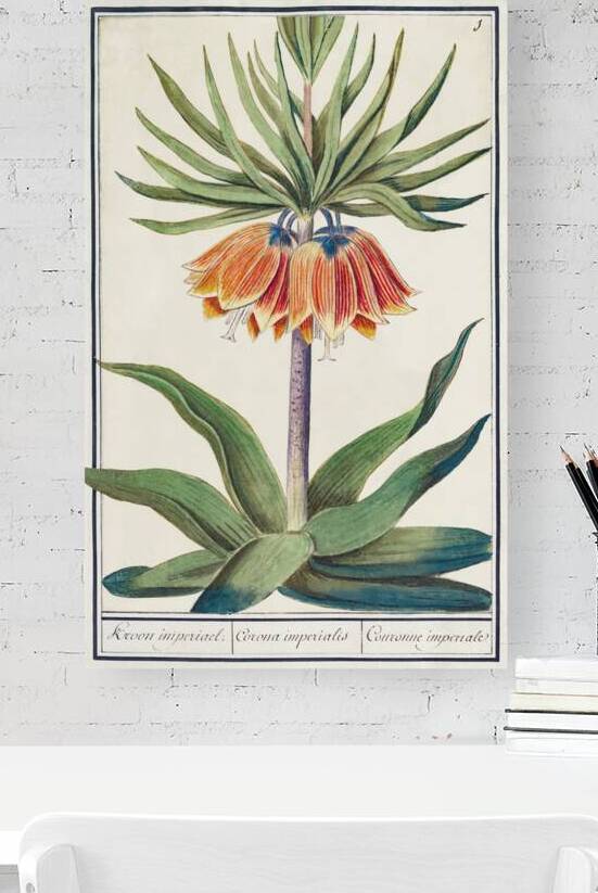 Kaisers crown in vintage style by IStockHistory com