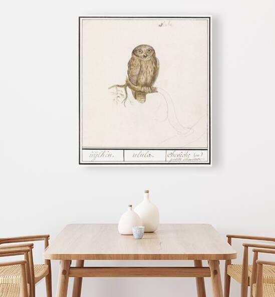 Pygmy owl in vintage style by IStockHistory com
