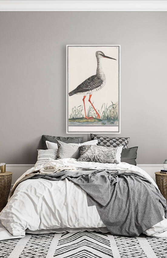 Redshank in vintage style by IStockHistory com
