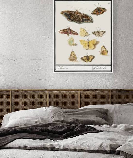 Butterflies and moths set by IStockHistory com