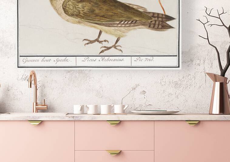 European green woodpecker in vintage style by IStockHistory com