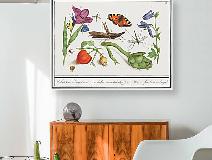 Nature ensemble in vintage style by IStockHistory com