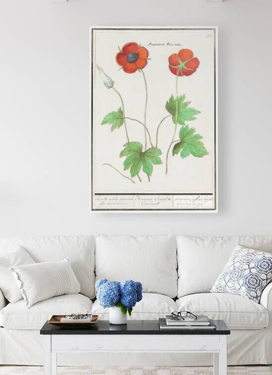 Indian runner duck in vintage style by IStockHistory com