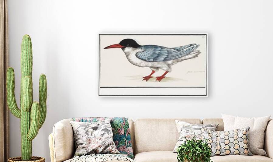 Tern in vintage style by IStockHistory com