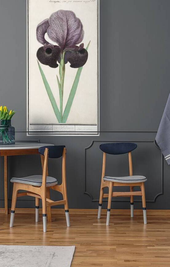 Mourning iris in vintage style by IStockHistory com