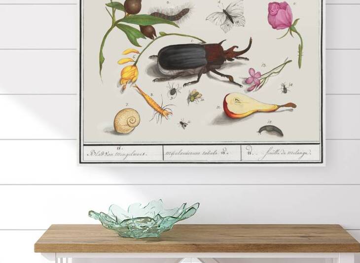 Nature ensemble in vintage style by IStockHistory com