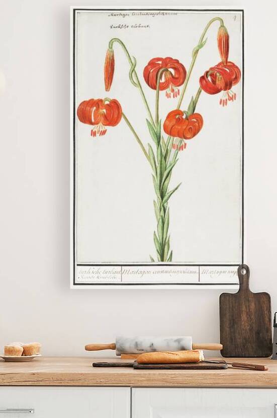 Red lily in vintage style by IStockHistory com