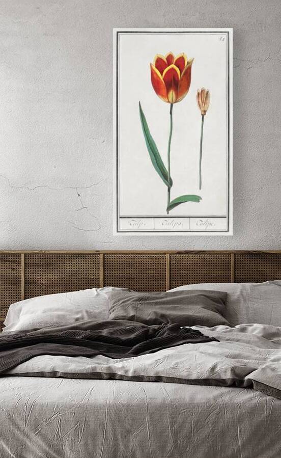 Tulip in vintage style by IStockHistory com