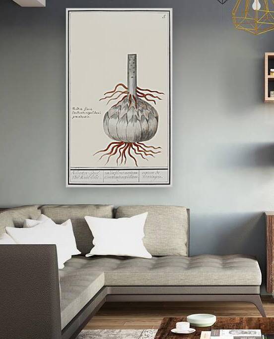 Globe of red lily in vintage style by IStockHistory com