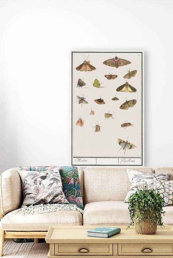 Butterflies and moths set by IStockHistory com