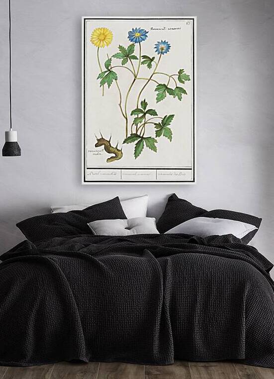 Windflower in vintage style by IStockHistory com