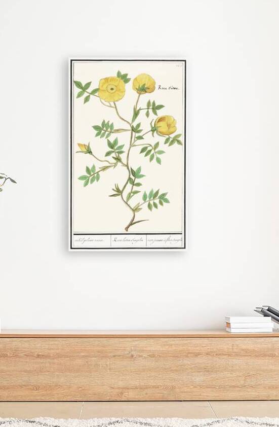Yellow rose in vintage style by IStockHistory com