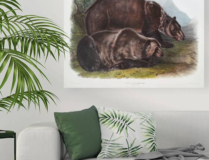 Pouched Jerboa Mouse Dipodomys Phillipsii  by IStockHistory com