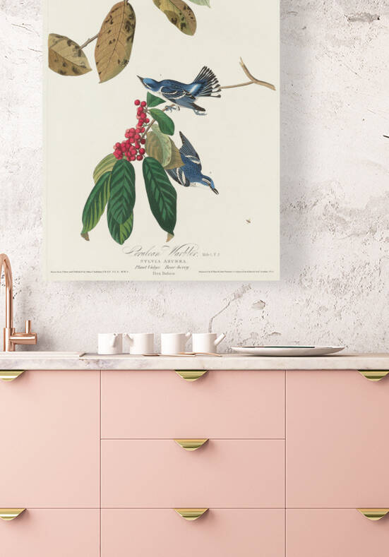 Fish Crow by IStockHistory com