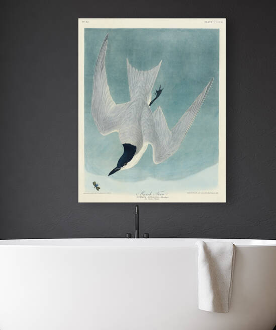 Lenaida Dove by IStockHistory com