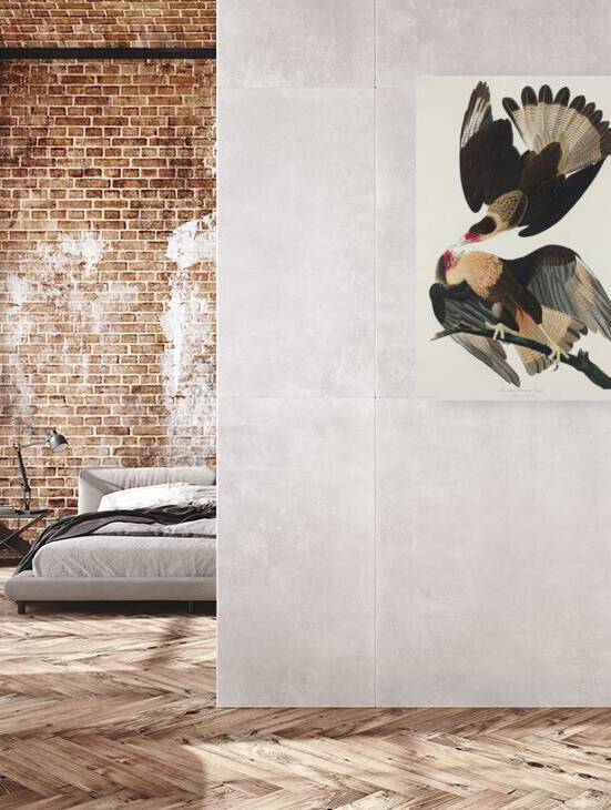 Brasilian Caracara Eagle by IStockHistory com