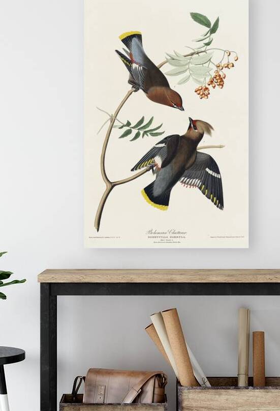 Rusty Grakle by IStockHistory com