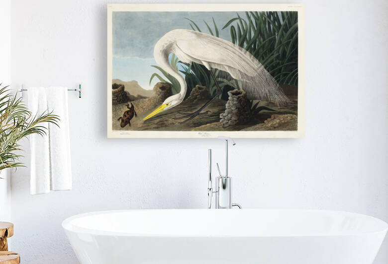 White Heron by IStockHistory com