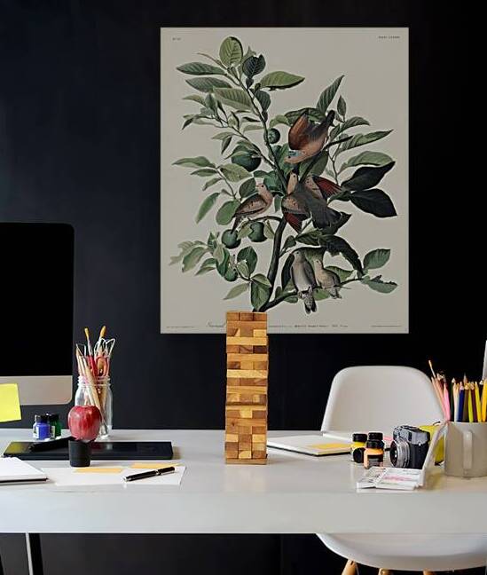 Ground Dove by IStockHistory com