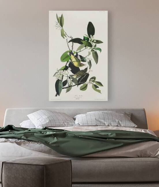 Palm Warbler by IStockHistory com