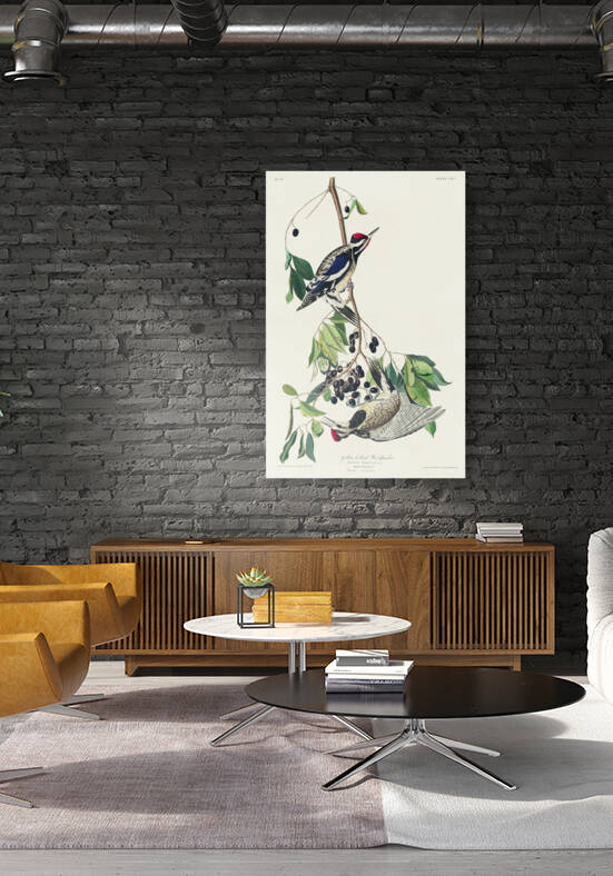 Yellow bellied Woodpecker by IStockHistory com