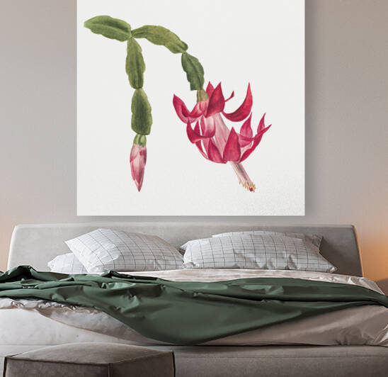 Flower Study 1878 by IStockHistory com