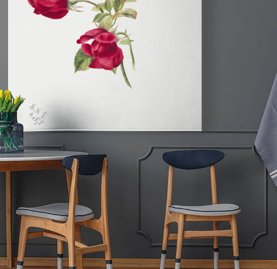 Rose 1878 by IStockHistory com