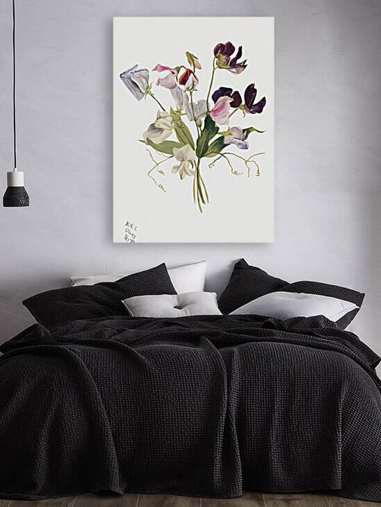 Flower Study 1886 by IStockHistory com