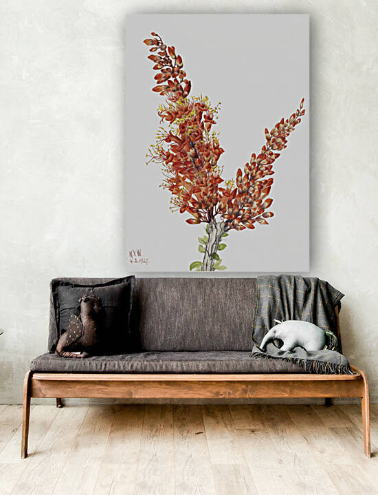 Ocotillo Fouquieria splendens 1927 by IStockHistory com