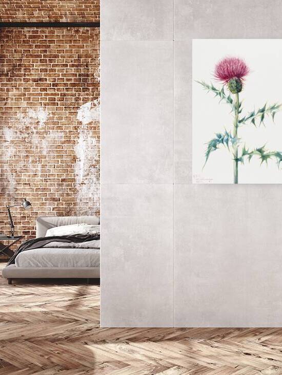 Thistle Cirsium arizonica 1938 by IStockHistory com