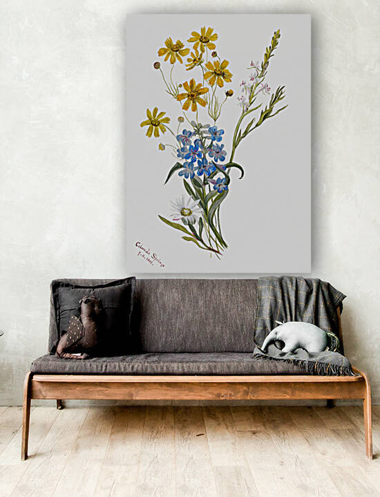 Group of Flowers 1883 by IStockHistory com