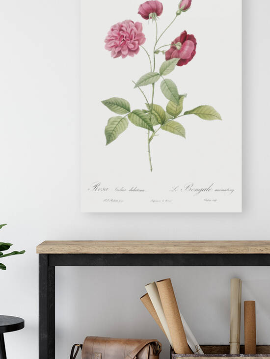 Vintage china rose by IStockHistory com