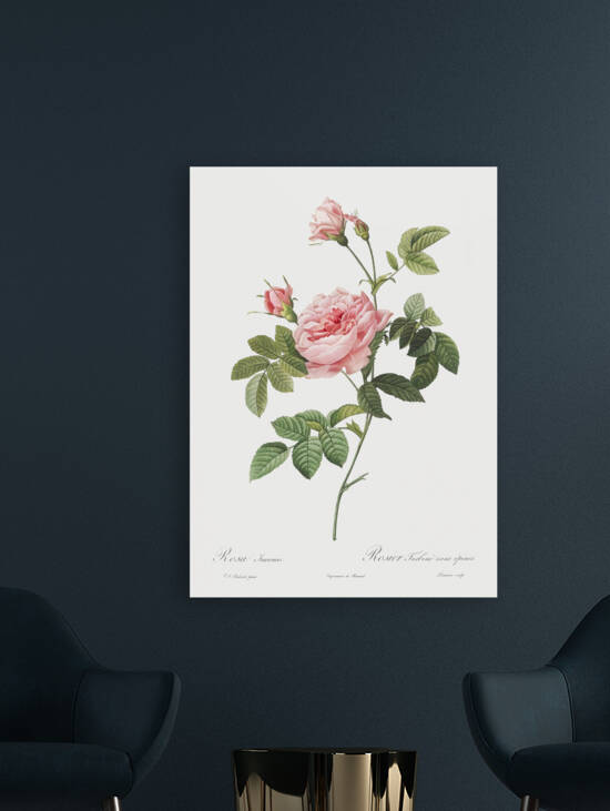 Pink rose turbine by IStockHistory com