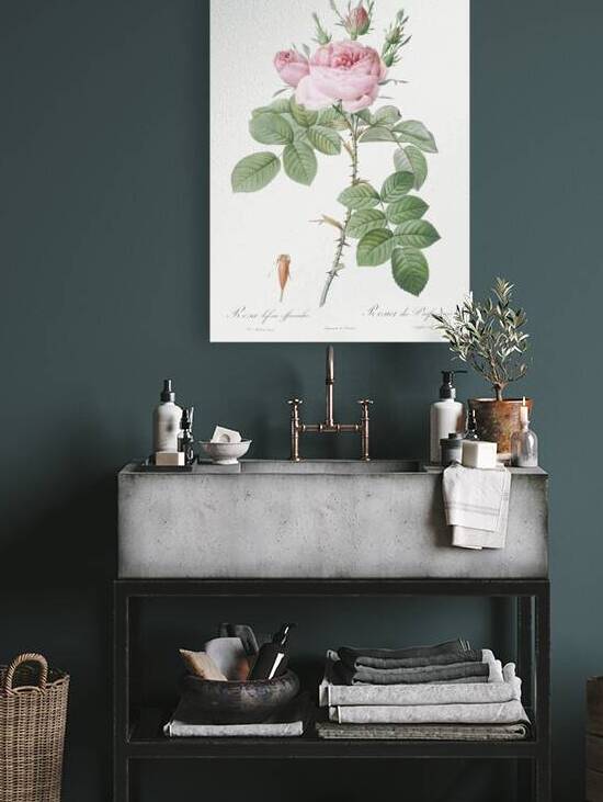 Vintage pink rose by IStockHistory com