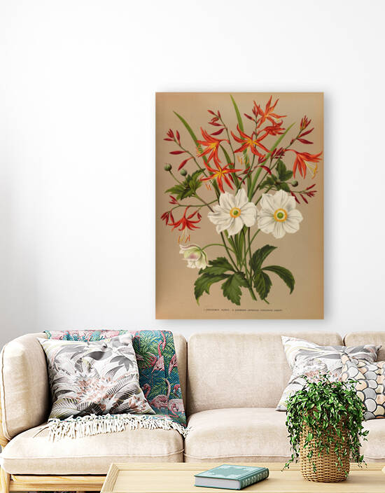 Album van Eeden : Haarlems flora : 1872-1881 by IStockHistory com