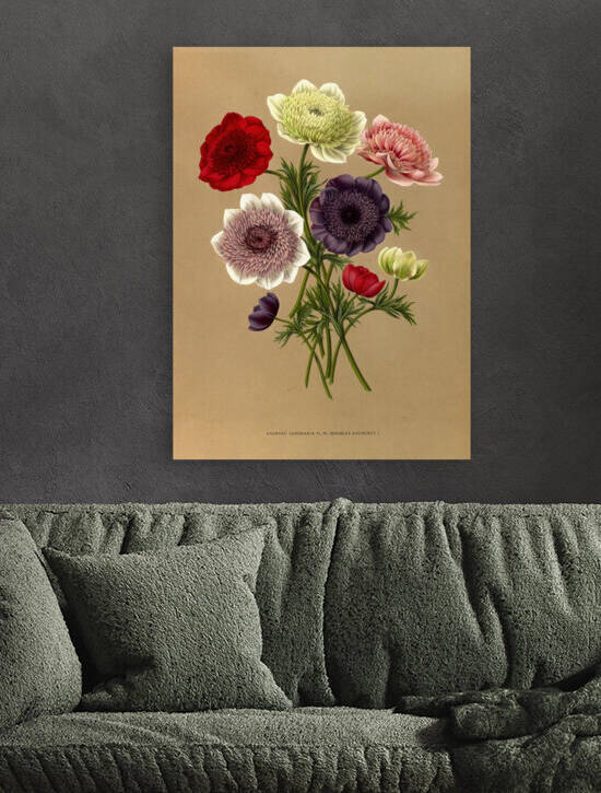 Album van Eeden : Haarlems flora : 1872-1881 by IStockHistory com