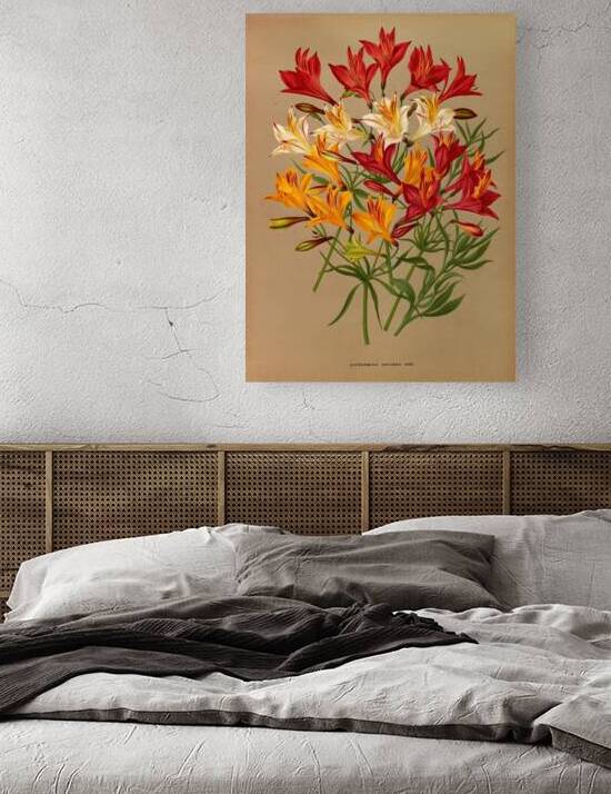 Album van Eeden : Haarlems flora : 1872-1881 by IStockHistory com