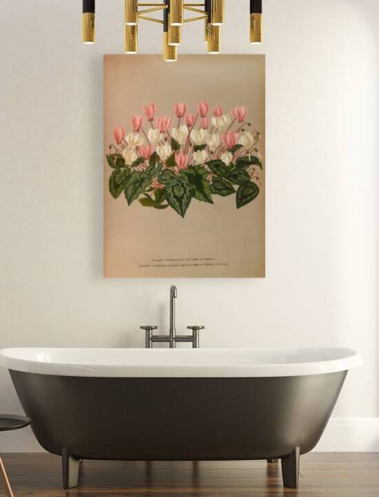 Album van Eeden : Haarlems flora : 1872-1881 by IStockHistory com