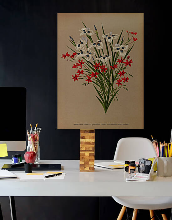 Album van Eeden : Haarlems flora : 1872-1881 by IStockHistory com